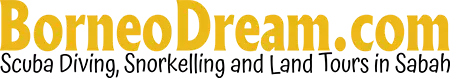Borneo Dream